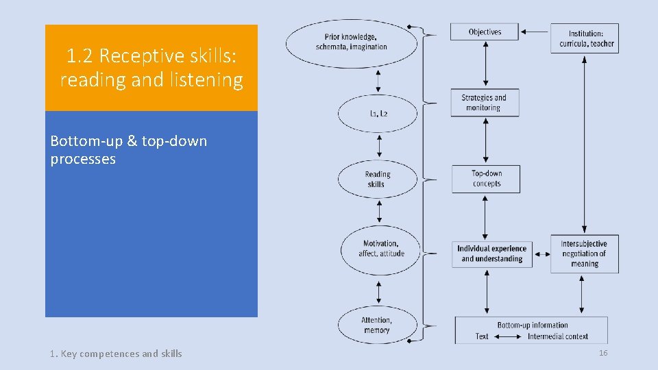 1. 2 Receptive skills: reading and listening Bottom-up & top-down processes 1. Key competences 1. 2 Receptive skills: reading and listening Bottom-up & top-down processes 1. Key competences