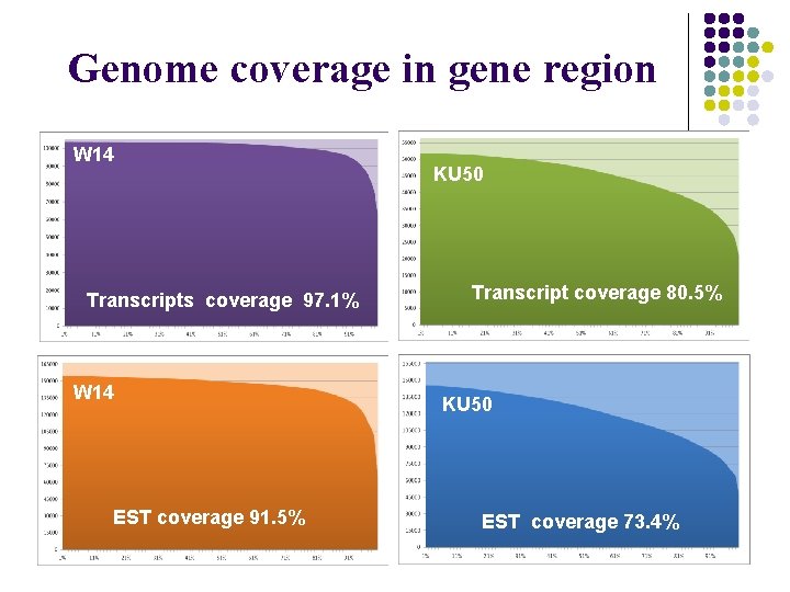 Genome coverage in gene region W 14 Transcripts coverage 97. 1% W 14 EST