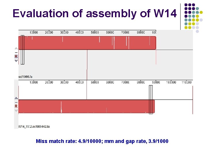 Evaluation of assembly of W 14 Miss match rate: 4. 9/10000; mm and gap