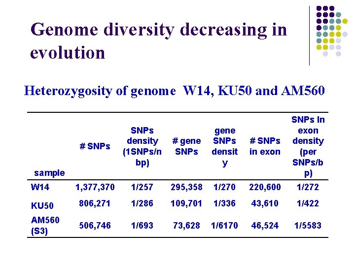 Genome diversity decreasing in evolution Heterozygosity of genome W 14, KU 50 and AM