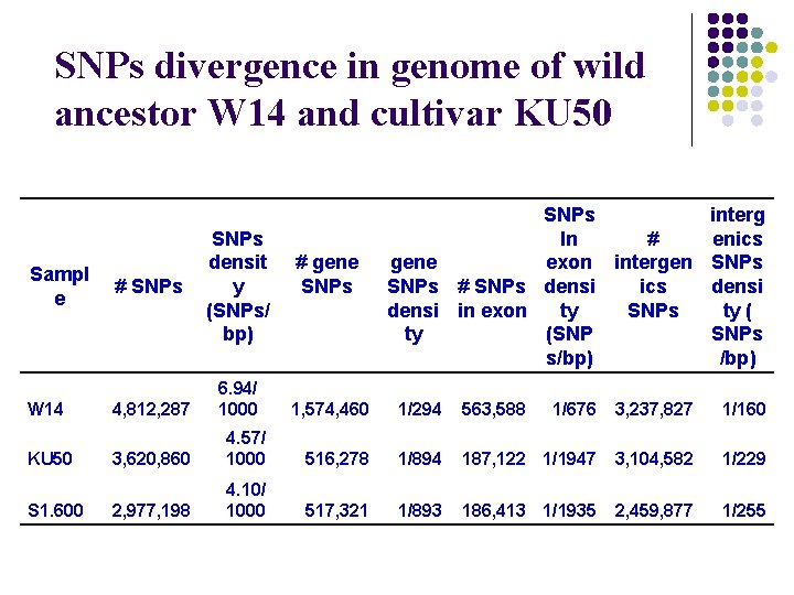 SNPs divergence in genome of wild ancestor W 14 and cultivar KU 50 Sampl