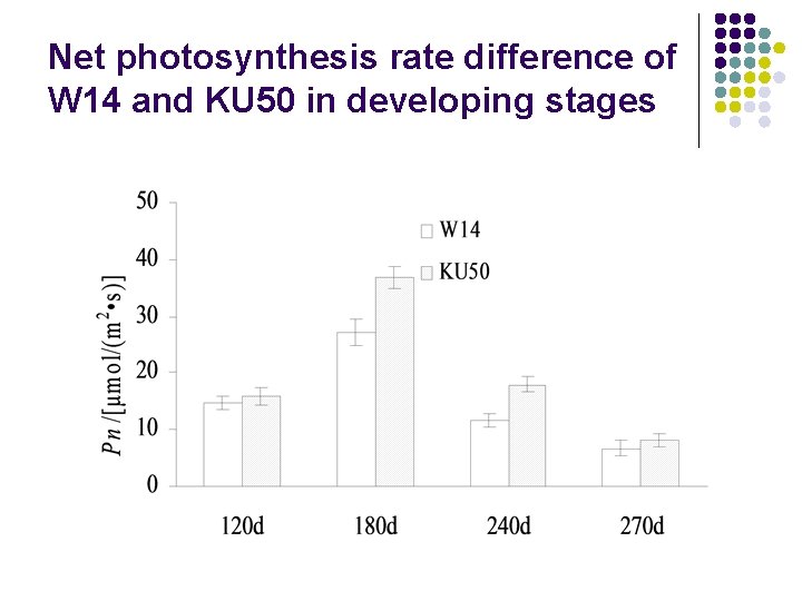 Net photosynthesis rate difference of W 14 and KU 50 in developing stages 