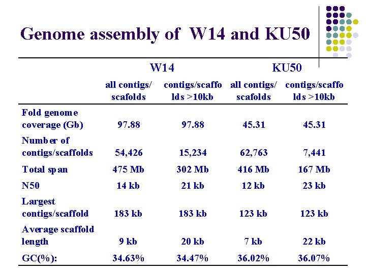 Genome assembly of W 14 and KU 50 W 14 all contigs/ scafolds KU
