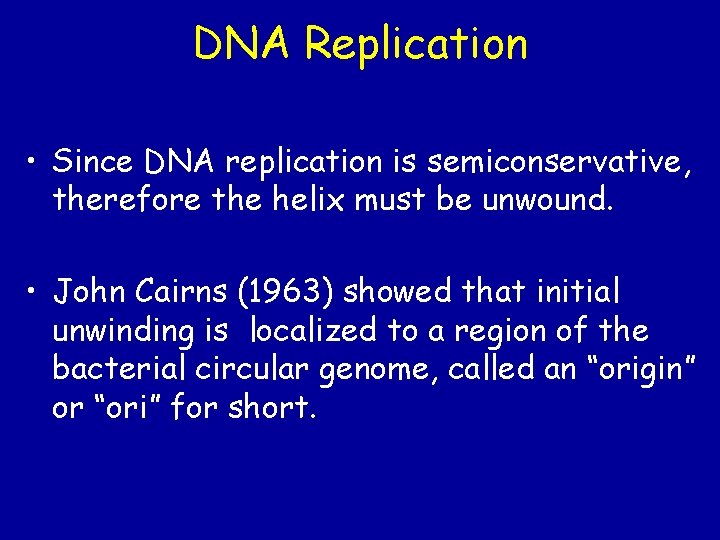 DNA Replication • Since DNA replication is semiconservative, therefore the helix must be unwound. DNA Replication • Since DNA replication is semiconservative, therefore the helix must be unwound.