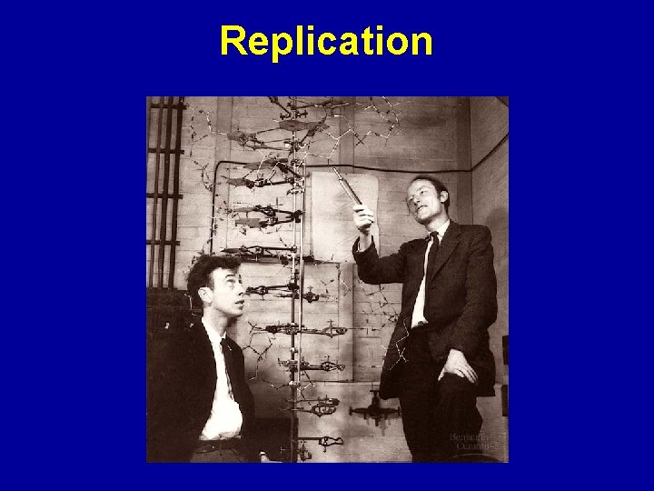 Replication Replication