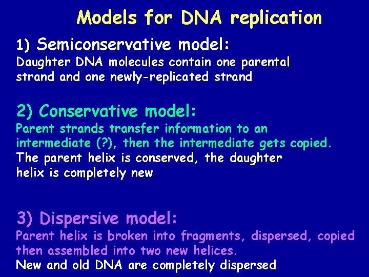 Models for DNA replication 1) Semiconservative model: Daughter DNA molecules contain one parental strand Models for DNA replication 1) Semiconservative model: Daughter DNA molecules contain one parental strand