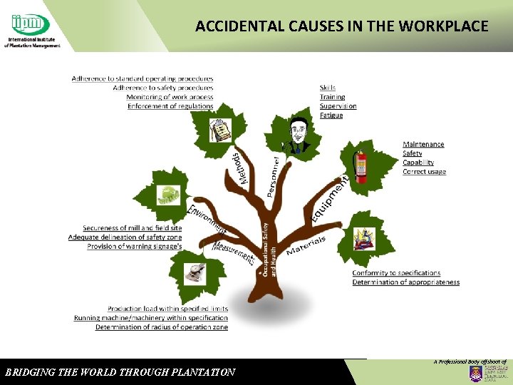 ACCIDENTAL CAUSES IN THE WORKPLACE A Professional Body offshoot of BRIDGING THE WORLD THROUGH