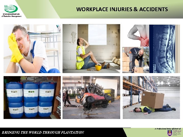 WORKPLACE INJURIES & ACCIDENTS A Professional Body offshoot of BRIDGING THE WORLD THROUGH PLANTATION