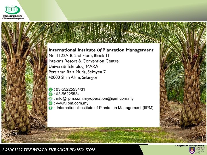 A Professional Body offshoot of BRIDGING THE WORLD THROUGH PLANTATION 