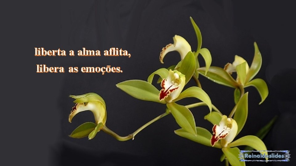 liberta a alma aflita, libera as emoções. 