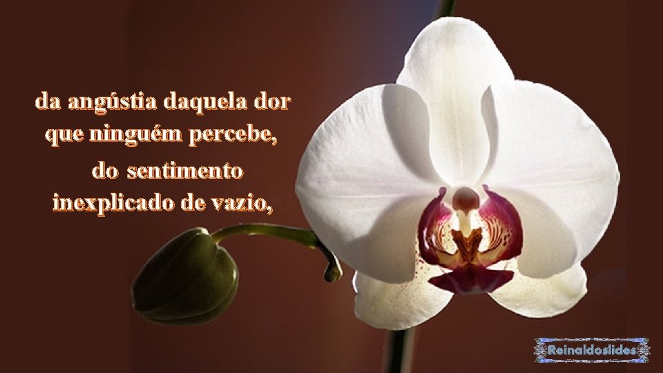da angústia daquela dor que ninguém percebe, do sentimento inexplicado de vazio, 