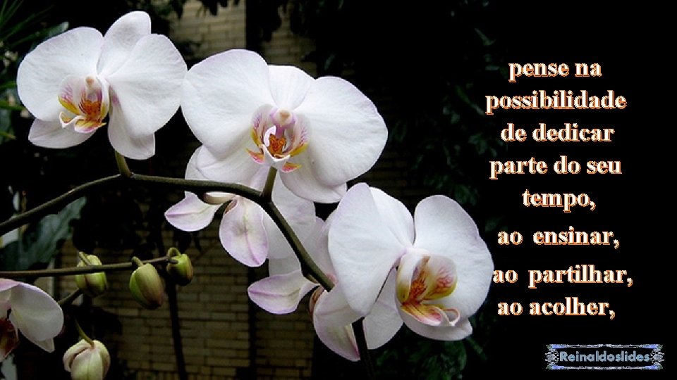 pense na possibilidade de dedicar parte do seu tempo, ao ensinar, ao partilhar, ao