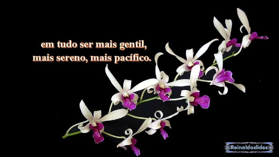 em tudo ser mais gentil, mais sereno, mais pacífico. 