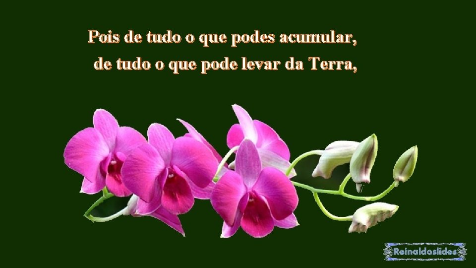 Pois de tudo o que podes acumular, de tudo o que pode levar da