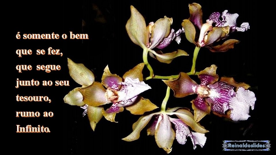é somente o bem que se fez, que segue junto ao seu tesouro, rumo