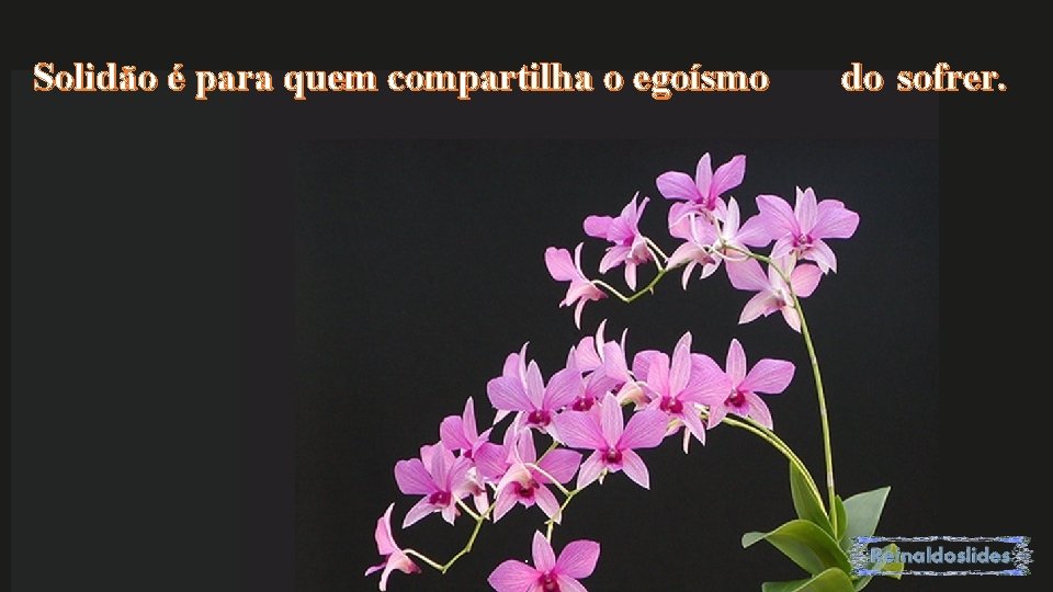 Solidão é para quem compartilha o egoísmo do sofrer. 