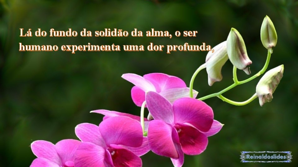 Lá do fundo da solidão da alma, o ser humano experimenta uma dor profunda,