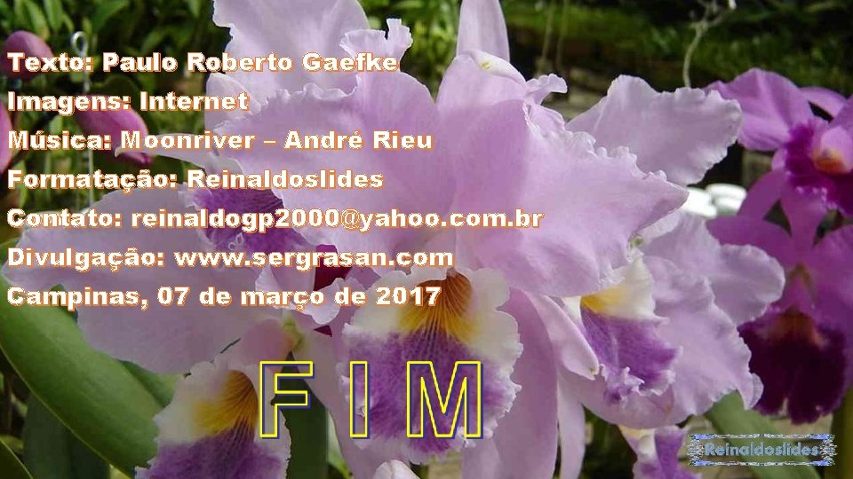 Texto: Paulo Roberto Gaefke Imagens: Internet Música: Moonriver – André Rieu Formatação: Reinaldoslides Contato: