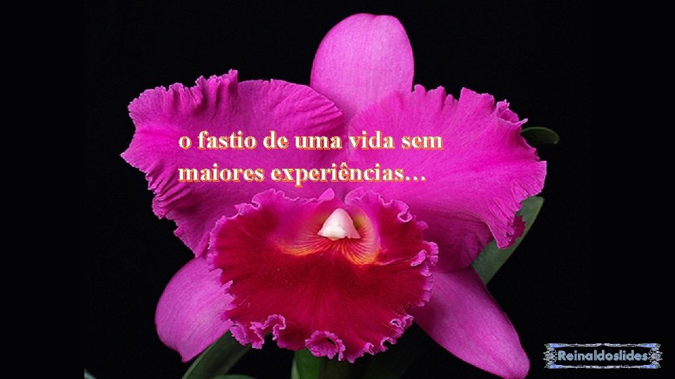 o fastio de uma vida sem maiores experiências… 