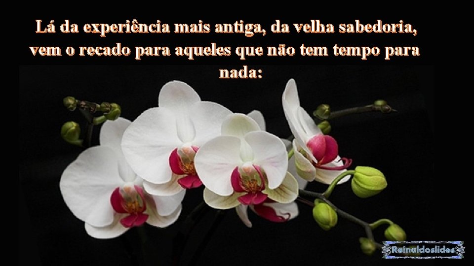 Lá da experiência mais antiga, da velha sabedoria, vem o recado para aqueles que