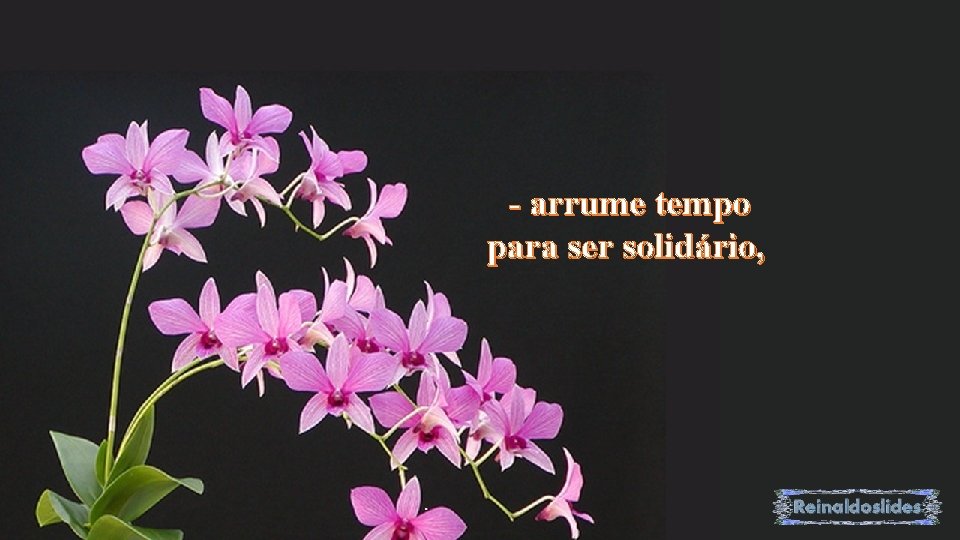 - arrume tempo para ser solidário, 