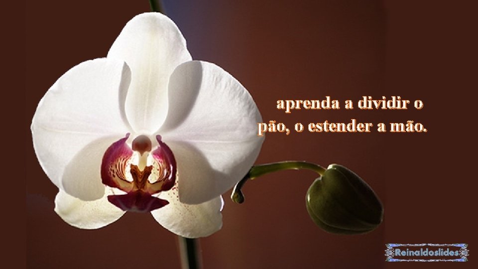 aprenda a dividir o pão, o estender a mão. 