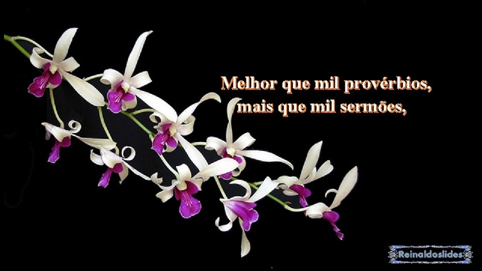 Melhor que mil provérbios, mais que mil sermões, 