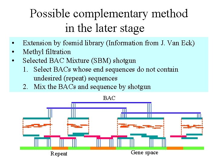 Possible complementary method in the later stage　 • • • Extension by fosmid library