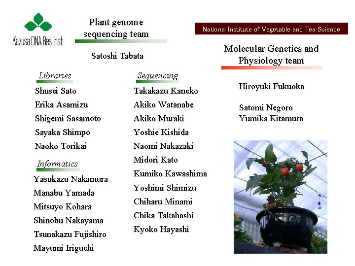 Plant genome sequencing team National Institute of Vegetable and Tea Science Satoshi Tabata Molecular