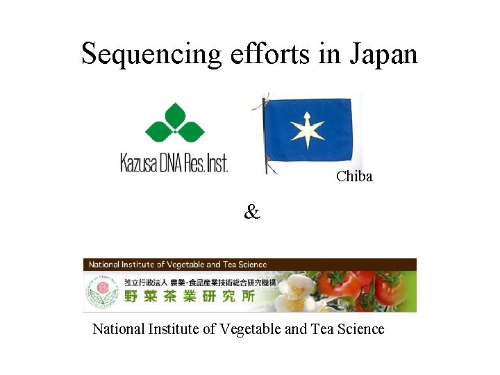 Sequencing efforts in Japan Chiba & National Institute of Vegetable and Tea Science 