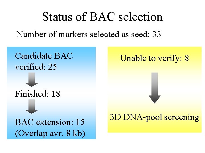 Status of BAC selection Number of markers selected as seed: 33 Candidate BAC verified: