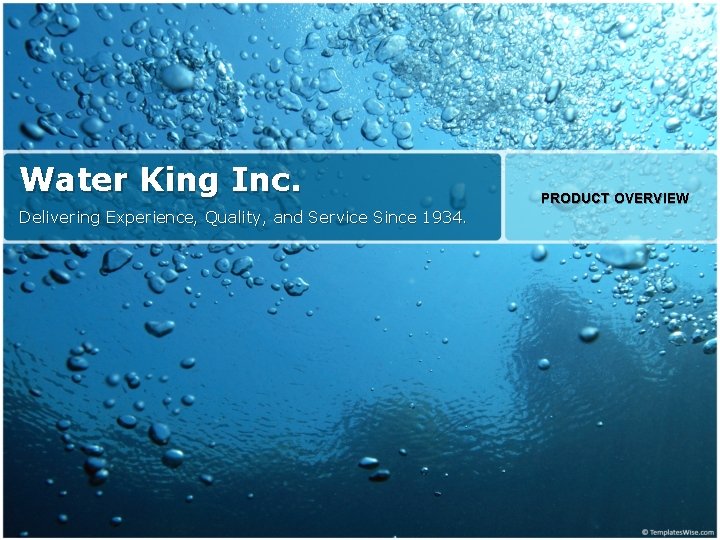Water King Inc Delivering Experience Quality and Service