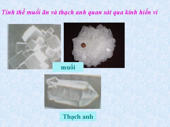 Tinh thể muối ăn và thạch anh quan sát qua kính hiển vi muối