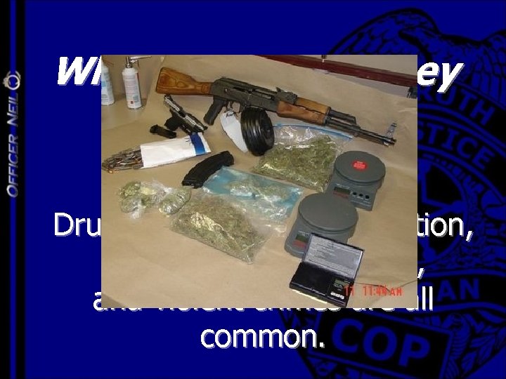 What crimes are they predominantly involved in? Drugs, auto theft, intimidation, weapon sales, burglary,