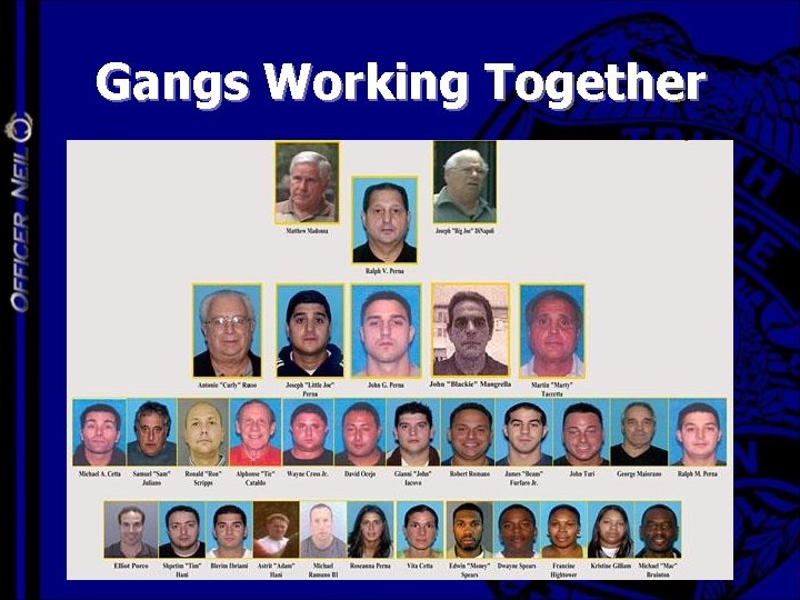 Gangs Working Together 