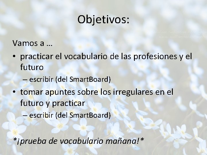 Objetivos: Vamos a … • practicar el vocabulario de las profesiones y el futuro