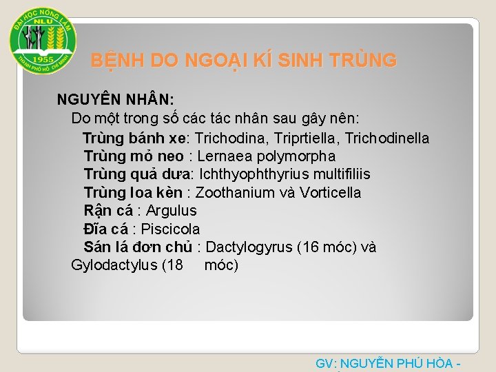 BỆNH DO NGOẠI KÍ SINH TRÙNG NGUYÊN NH N: Do một trong số các