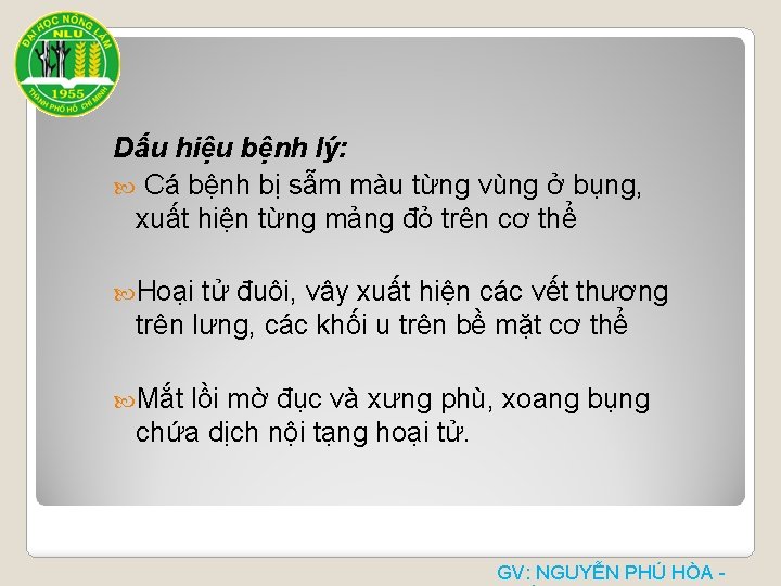 Dấu hiệu bệnh lý: Cá bệnh bị sẫm màu từng vùng ở bụng, xuất