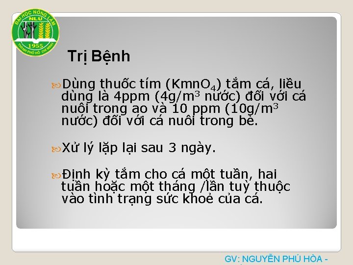 Trị Bệnh Dùng thuốc tím (Kmn. O 4) tắm cá, liều dùng là 4