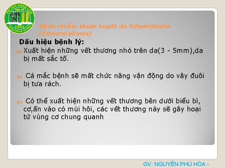 Bệnh nhiễm khuẩn huyết do Edwardsiella (Edwarsiellosis) Dấu hiệu bệnh lý: Xuất hiện những Bệnh nhiễm khuẩn huyết do Edwardsiella (Edwarsiellosis) Dấu hiệu bệnh lý: Xuất hiện những