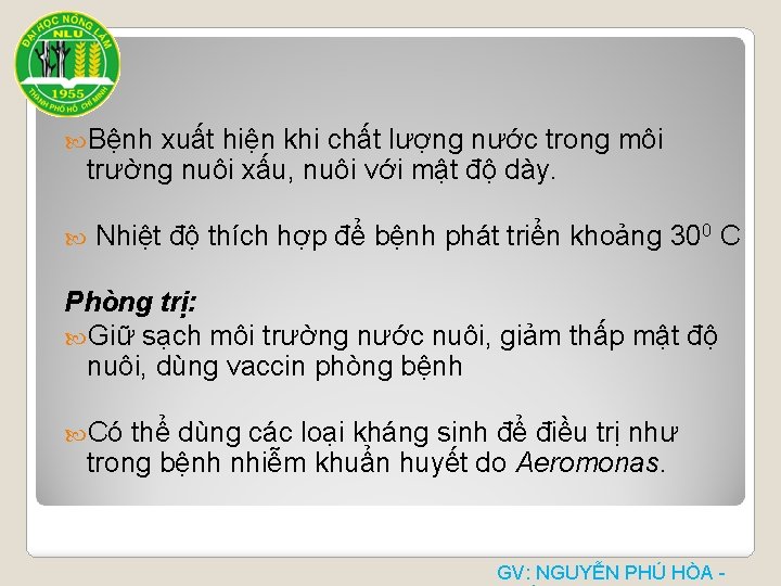  Bệnh xuất hiện khi chất lượng nước trong môi trường nuôi xấu, nuôi