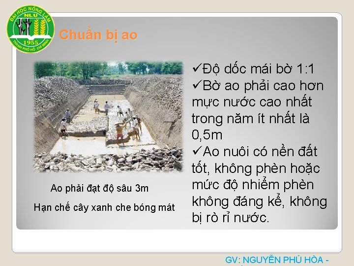 Chuẩn bị ao Ao phải đạt độ sâu 3 m Hạn chế cây xanh