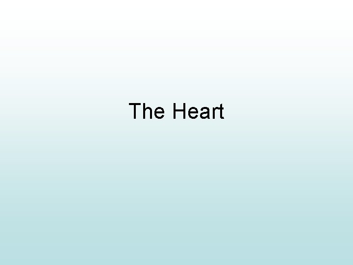 The Heart 
