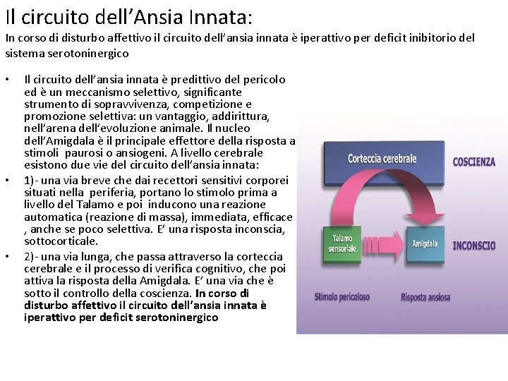 Il circuito dell’Ansia Innata: In corso di disturbo affettivo il circuito dell’ansia innata è