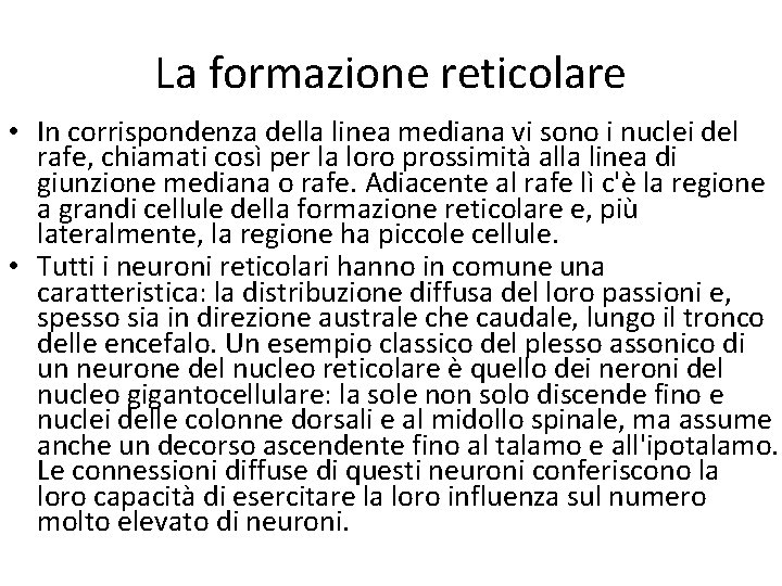 La formazione reticolare • In corrispondenza della linea mediana vi sono i nuclei del