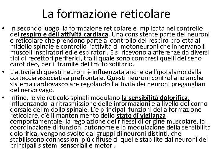 La formazione reticolare • In secondo luogo, la formazione reticolare è implicata nel controllo