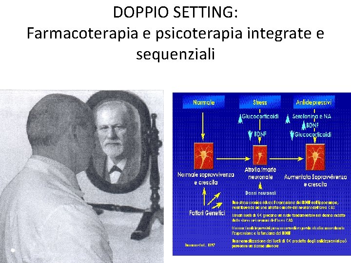 DOPPIO SETTING: Farmacoterapia e psicoterapia integrate e sequenziali 