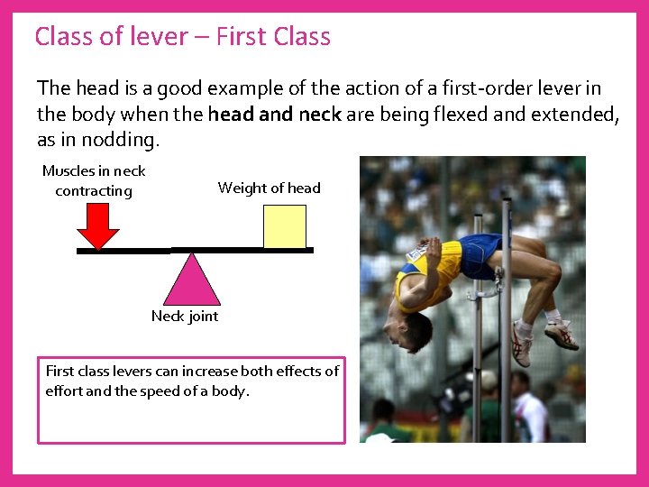 Class of lever – First Class The head is a good example of the