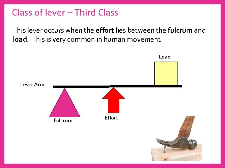 Class of lever – Third Class This lever occurs when the effort lies between