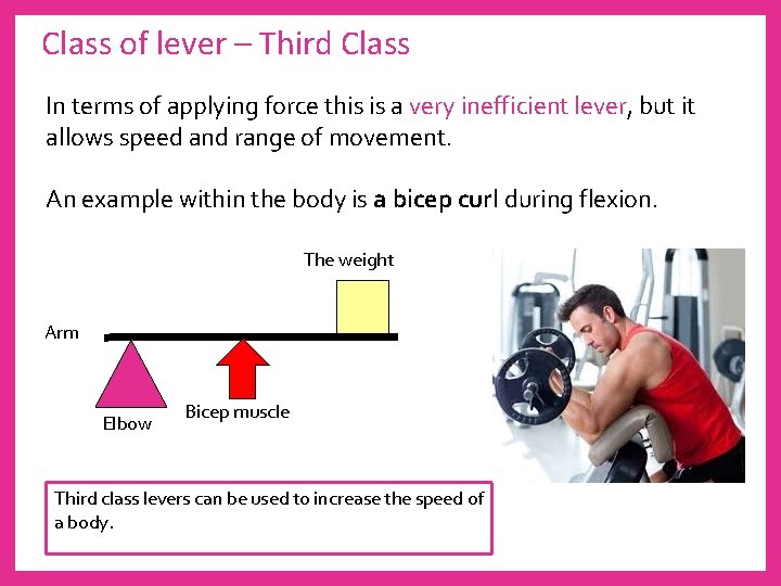 Class of lever – Third Class In terms of applying force this is a